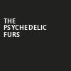 The Psychedelic Furs, Hawaii Theatre, Honolulu